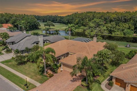 1349 FORESTEDGE BOULEVARD OLDSMAR FL 34677