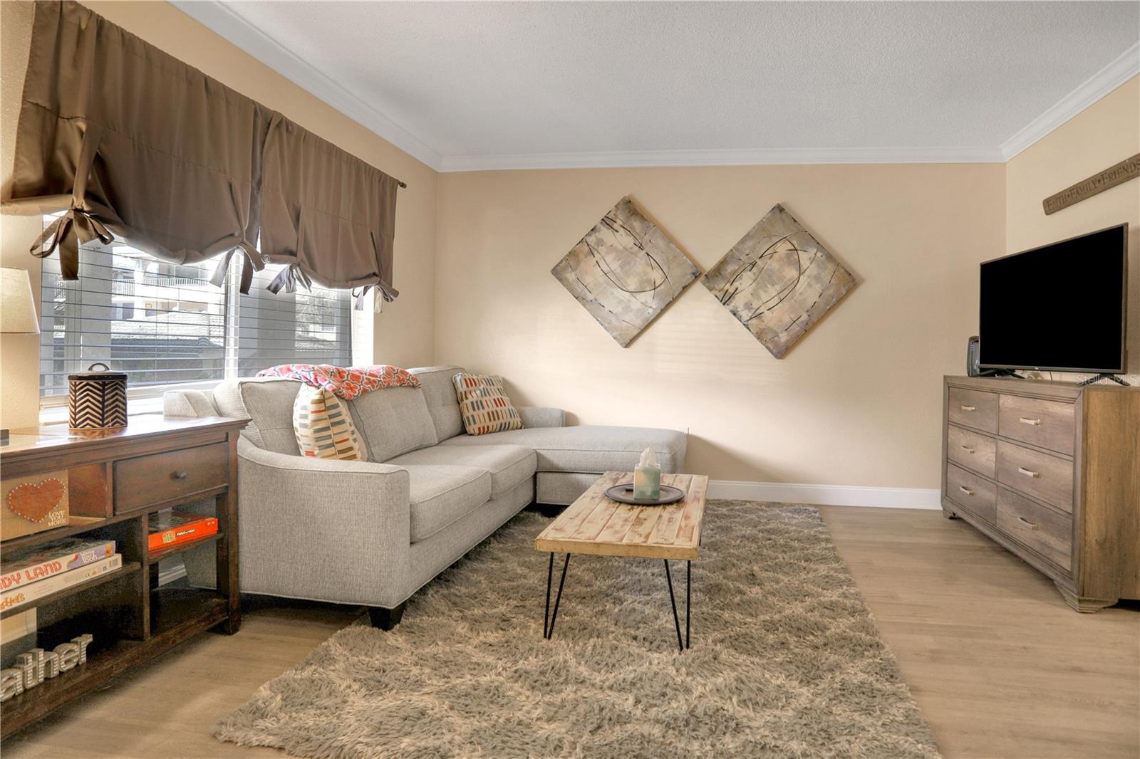 WATERSIDE AT CRANES ROOST A CONDO COMMUNITY - Residential