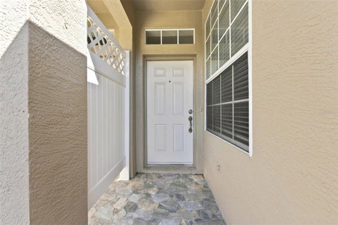 11220 Windsor Place Circle, Tampa, FL 33626
