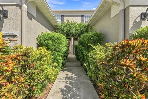 11220 Windsor Place Circle, Tampa, FL 33626