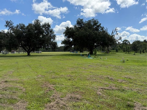 Tiny photo for 14875 Cr 751, Webster, FL 33597 (MLS # G5117612)