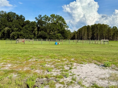 Tiny photo for 14875 Cr 751, Webster, FL 33597 (MLS # G5117612)