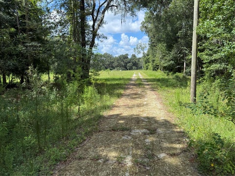 Tiny photo for 14875 Cr 751, Webster, FL 33597 (MLS # G5117612)