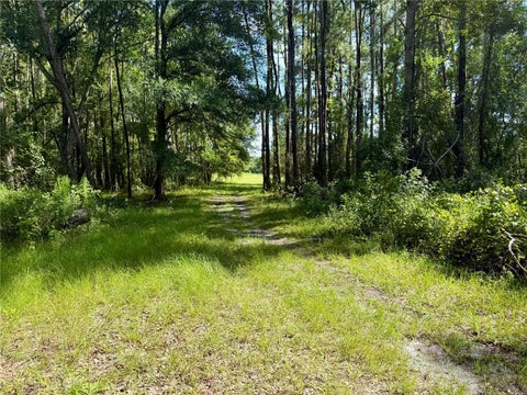 Tiny photo for 14875 Cr 751, Webster, FL 33597 (MLS # G5117612)