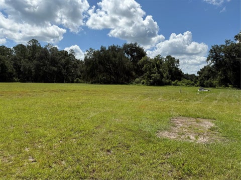 Tiny photo for 14875 Cr 751, Webster, FL 33597 (MLS # G5117612)
