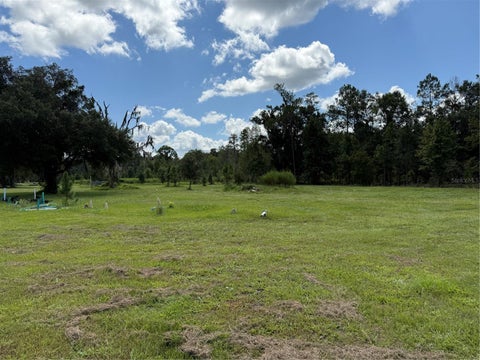 Tiny photo for 14875 Cr 751, Webster, FL 33597 (MLS # G5117612)