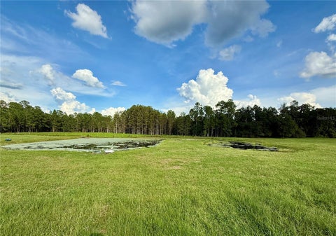 Tiny photo for 14875 Cr 751, Webster, FL 33597 (MLS # G5117612)