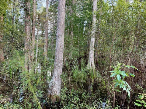 Tiny photo for 14875 Cr 751, Webster, FL 33597 (MLS # G5117612)