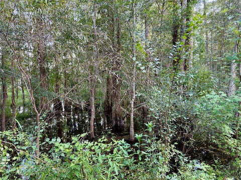 Tiny photo for 14875 Cr 751, Webster, FL 33597 (MLS # G5117612)