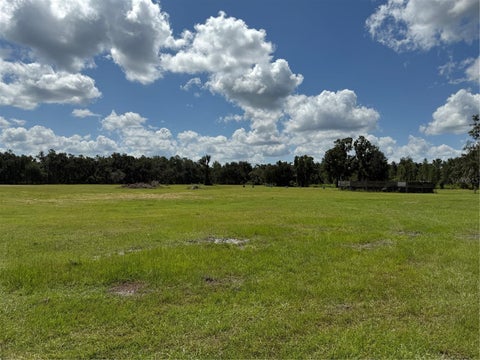 Tiny photo for 14875 Cr 751, Webster, FL 33597 (MLS # G5117612)