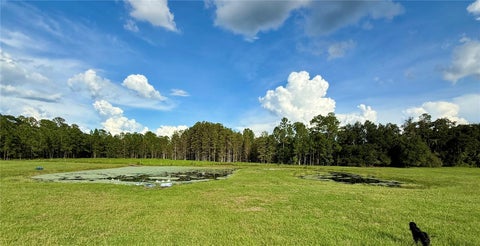 Tiny photo for 14875 Cr 751, Webster, FL 33597 (MLS # G5117612)