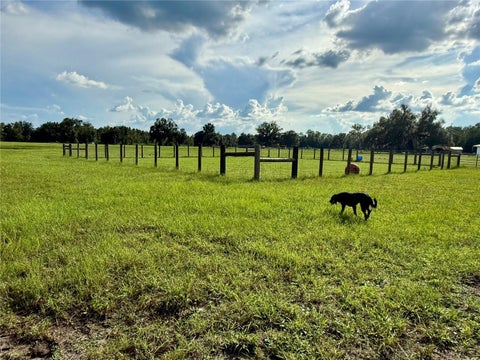Tiny photo for 14875 Cr 751, Webster, FL 33597 (MLS # G5117612)