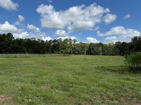 Tiny photo for 14875 Cr 751, Webster, FL 33597 (MLS # G5117612)