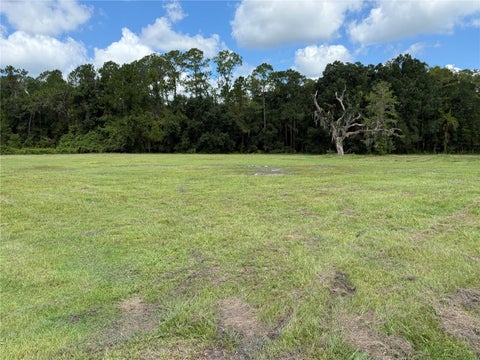 Tiny photo for 14875 Cr 751, Webster, FL 33597 (MLS # G5117612)