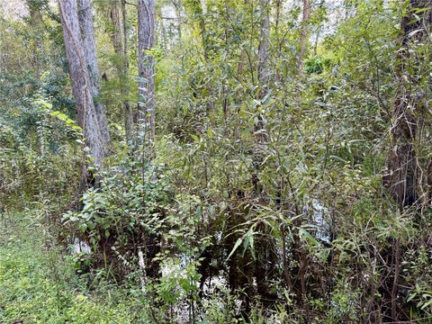 Tiny photo for 14875 Cr 751, Webster, FL 33597 (MLS # G5117612)