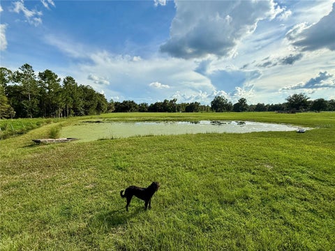 Tiny photo for 14875 Cr 751, Webster, FL 33597 (MLS # G5117612)