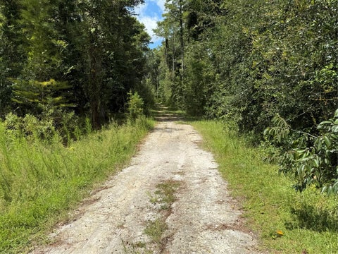 Tiny photo for 14875 Cr 751, Webster, FL 33597 (MLS # G5117612)