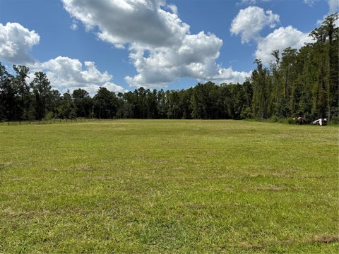 Tiny photo for 14875 Cr 751, Webster, FL 33597 (MLS # G5117612)