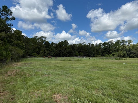 Tiny photo for 14875 Cr 751, Webster, FL 33597 (MLS # G5117612)