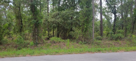 Photo of 0 NW Chestnut Avenue, Dunnellon, FL 34431 (MLS # OM729400)