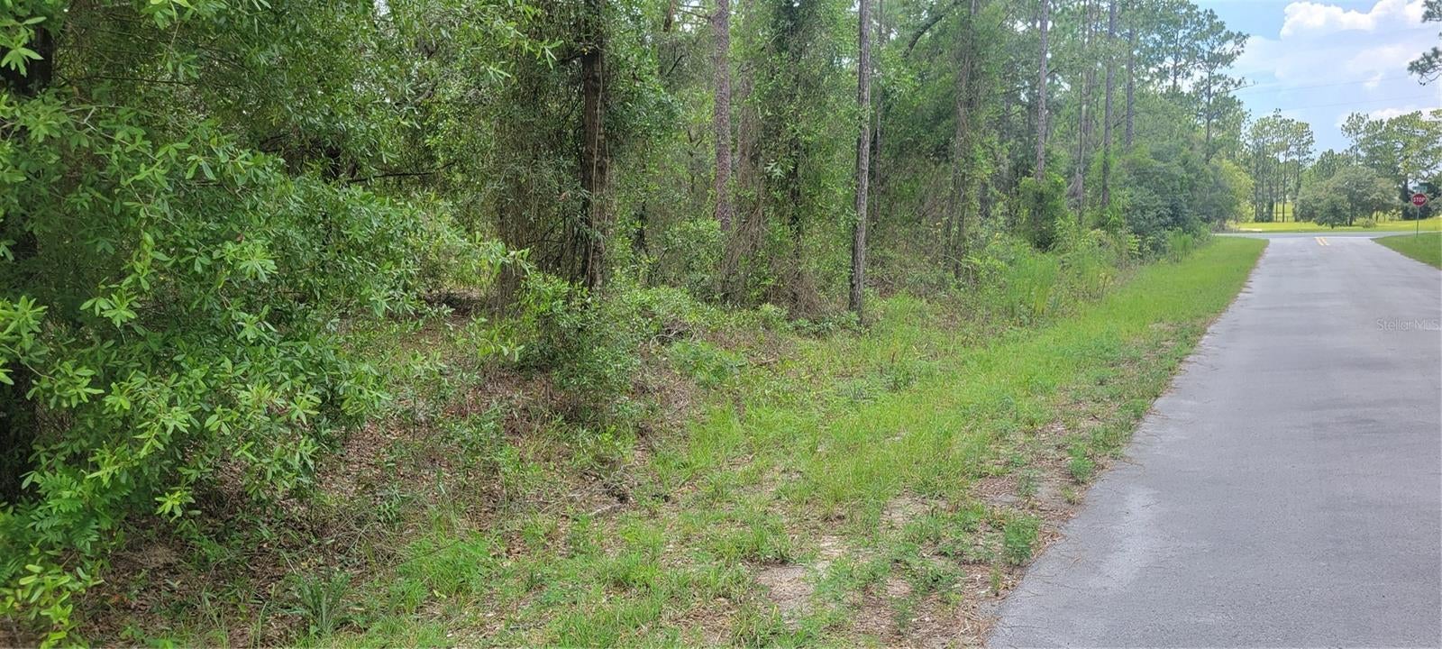 0 NW CHESTNUT AVENUE