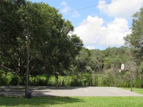 Tiny photo for 0 NW Chestnut Avenue, Dunnellon, FL 34431 (MLS # OM729400)
