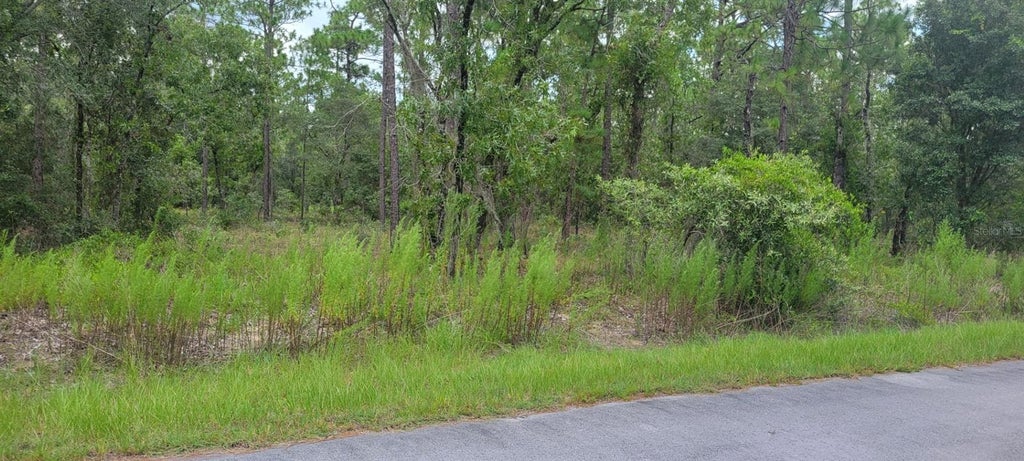 Photo of 0 NW Chestnut Avenue, Dunnellon, FL 34431 (MLS # OM729400)