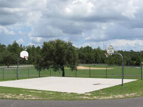 Tiny photo for 0 NW Chestnut Avenue, Dunnellon, FL 34431 (MLS # OM729400)