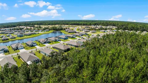 A home in ORMOND BEACH