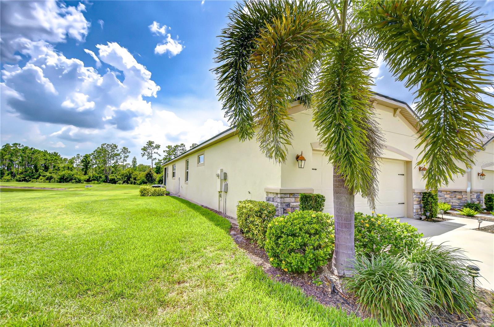 11619 CAMBIUM CROWN DRIVE
