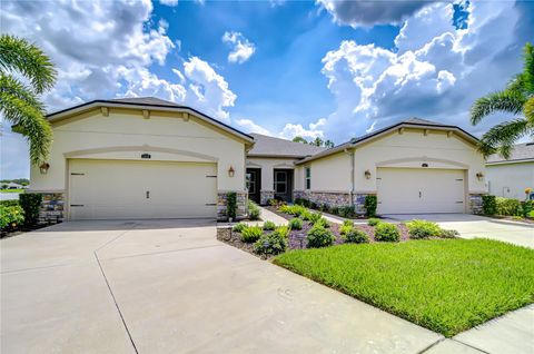 Photo of 11619 Cambium Crown Drive, Riverview, FL 33569 (MLS # TB8396173)