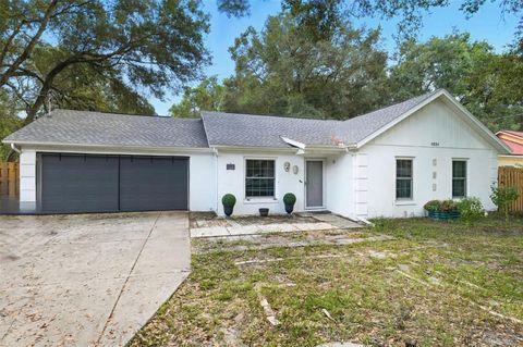 Photo of 4234 Illicium Lane, Lady Lake, FL 32159 (MLS # S5135578) Photo of 4234 Illicium Lane, Lady Lake, FL 32159 (MLS # S5135578)