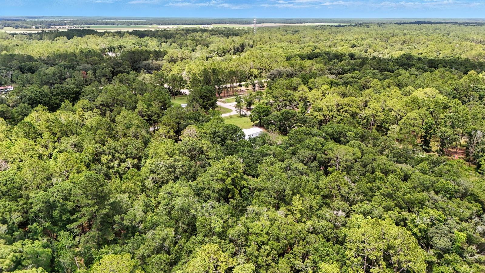 FLAGLER ESTATES - Residential