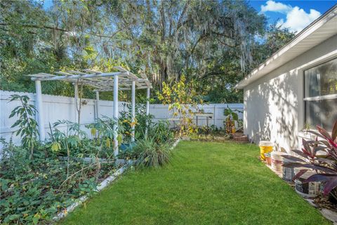 A home in MOUNT DORA