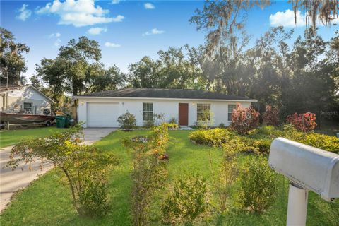 A home in MOUNT DORA