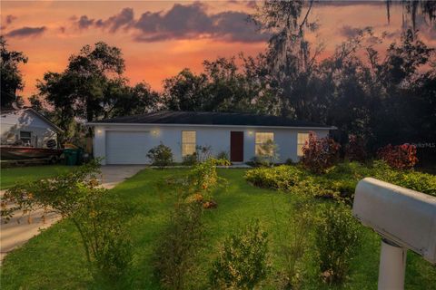 A home in MOUNT DORA