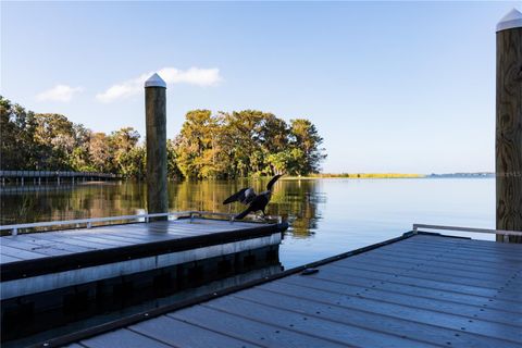 A home in MOUNT DORA