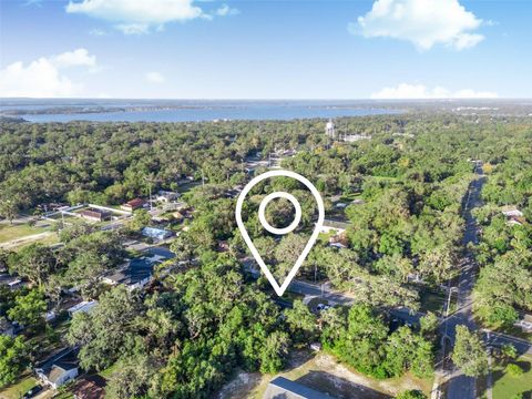 A home in MOUNT DORA