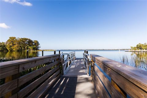 A home in MOUNT DORA