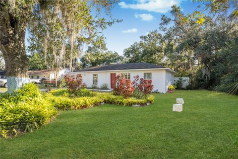 A home in MOUNT DORA