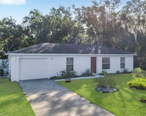 A home in MOUNT DORA