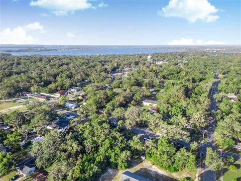 A home in MOUNT DORA