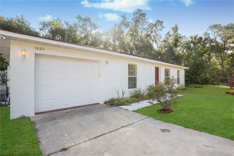 A home in MOUNT DORA