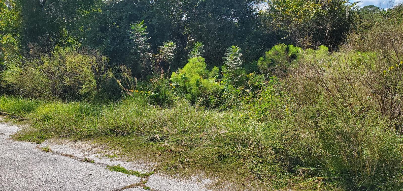 POINCIANA NBRHD 02 WEST VILLAGE 07 - Land