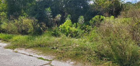 SEBRING COURT POINCIANA FL 34759