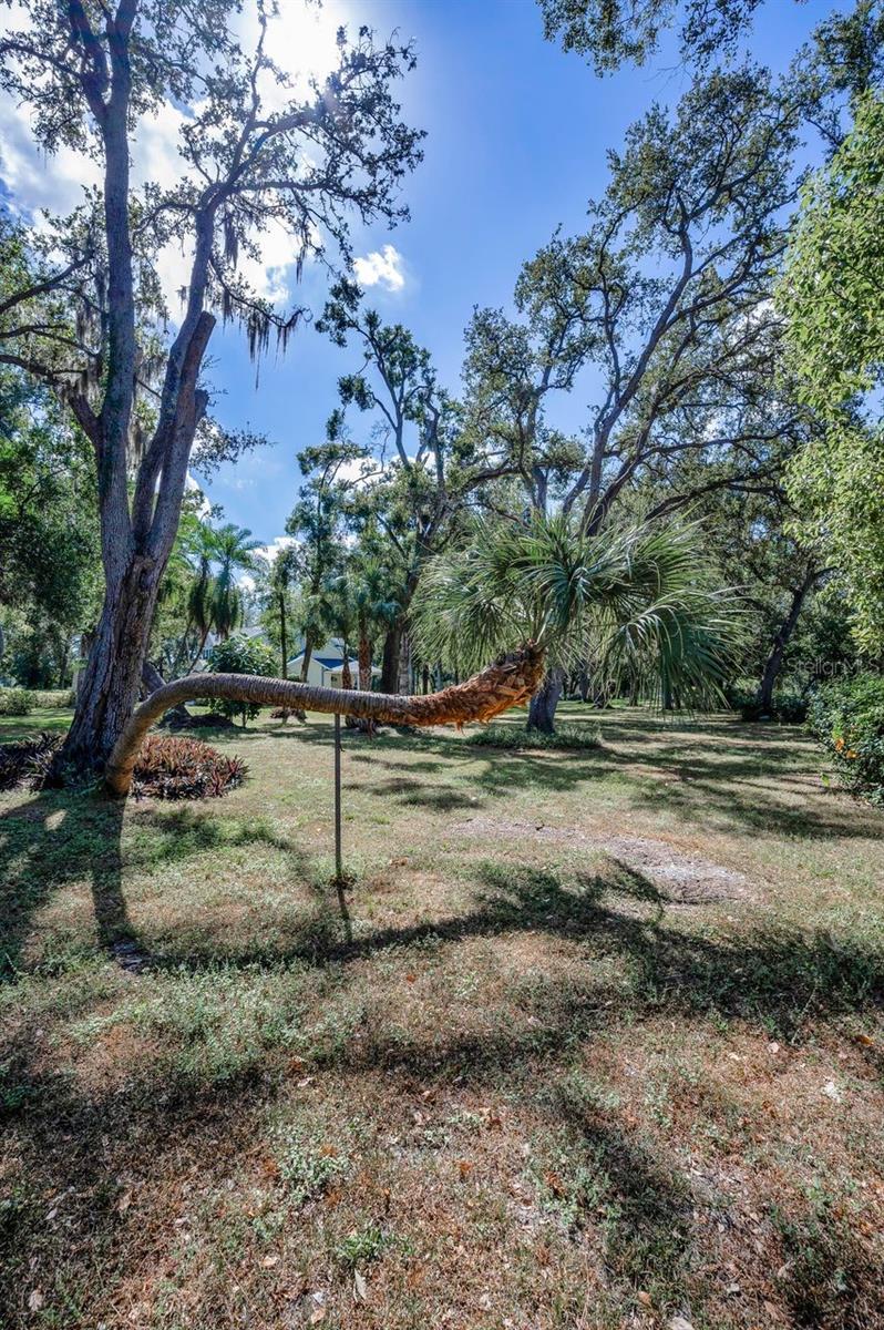 PINELLAS FARMS - Residential