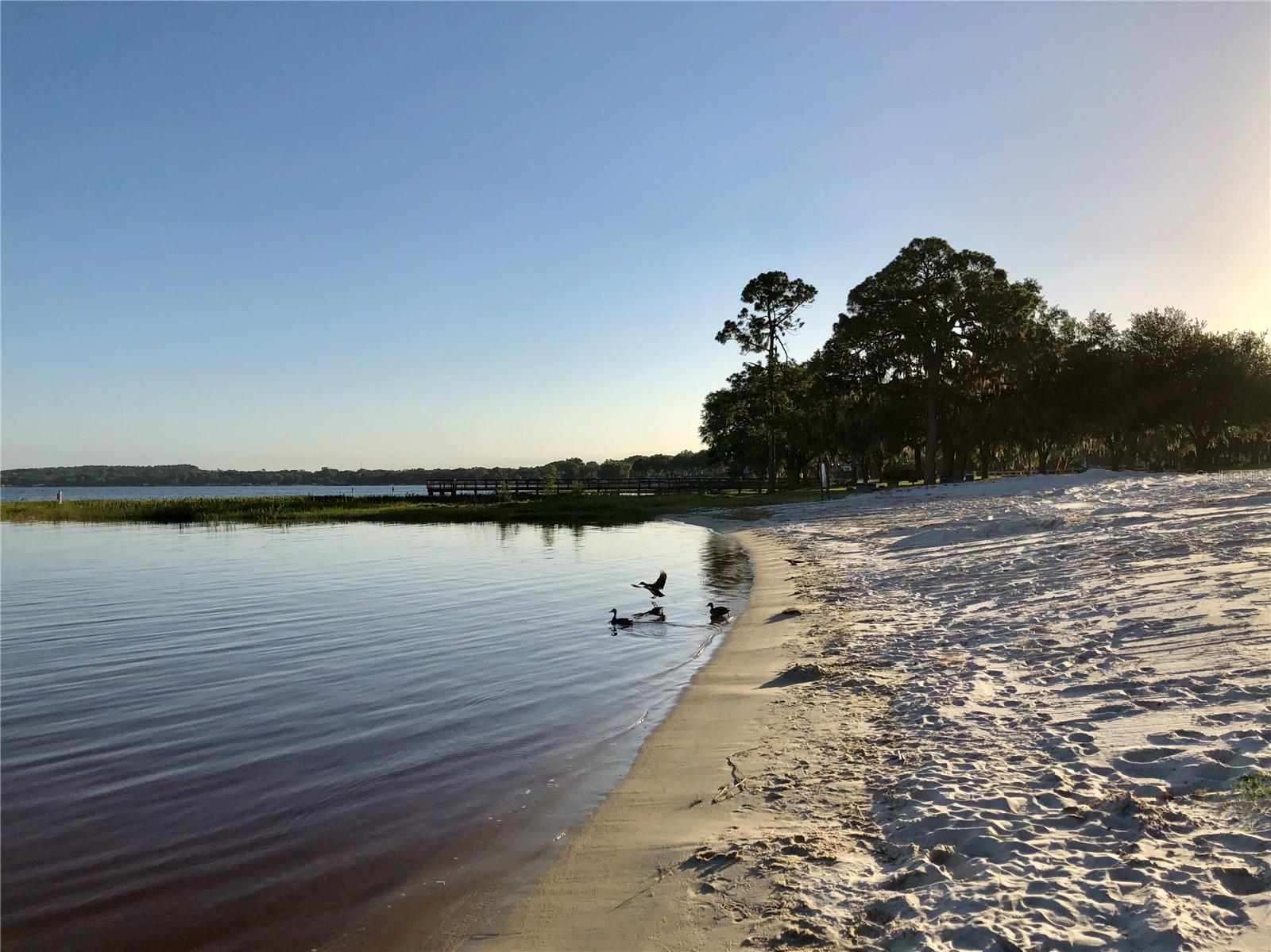 CLERMONT CREST VIEW - Residential