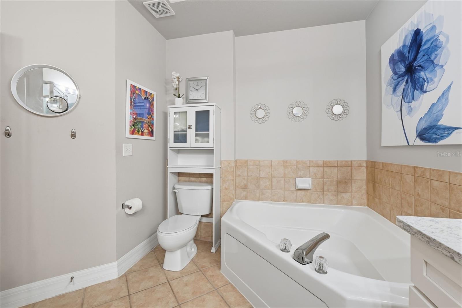 CELEBRATION RESIDENTIAL OWNER'S ASSOCIAT - Residential