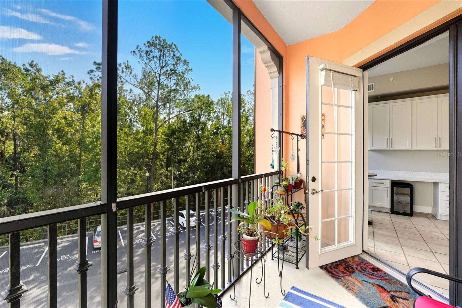 CELEBRATION RESIDENTIAL OWNER'S ASSOCIAT - Residential