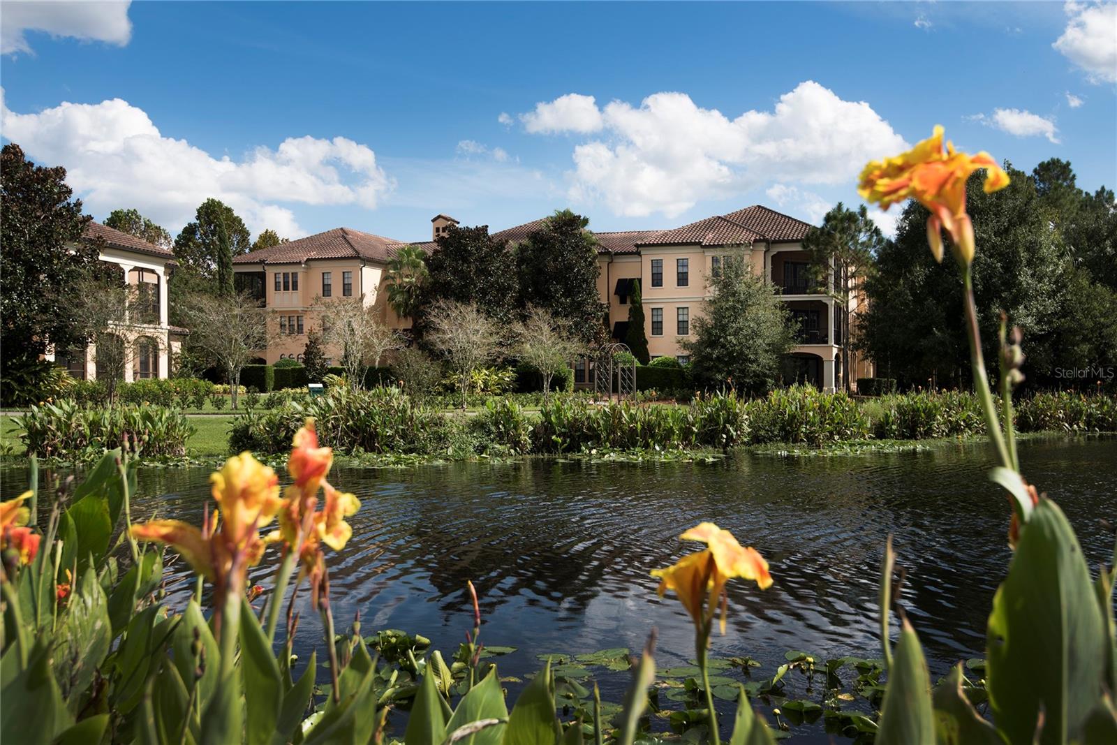 CELEBRATION RESIDENTIAL OWNER'S ASSOCIAT - Residential